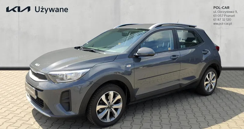 samochody osobowe Kia Stonic cena 76900 przebieg: 14421, rok produkcji 2023 z Pasym